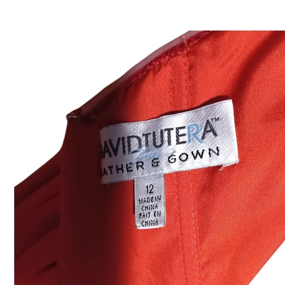 David Tutera Gather & Gown Pleated Chiffon Gown Size 12 - Picture 6 of 6